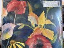 ADRIANNE LENKER - SONGS AND INSTRUMENTALS (2 LP) NEW VINYL