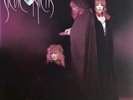 Stevie Nicks - The Wild Heart (LP, Album)