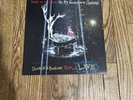 Panic  At The Disco All My Friends We're Glorious Death of A Bachelor Live Vinyl