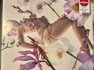Kali Uchis - Orquídeas LP (Alt Cover) Target Exclusive Coke Bottle Clear Vinyl