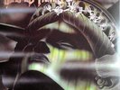 Sacred Reich - The American Way (Record)
