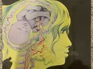 The Keith Tippett Group - Dedicated To You Orig NZ Press Vertigo LP Vinyl Record