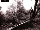 Timber Timbre - Timber Timbre (Vinyl LP - 2009 - UK - Reissue)