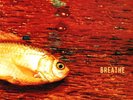 The Prodigy - Breathe (12