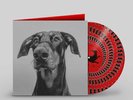 BIG SPECIAL - Postindustrial Hometown Blues - ZOETROPE PICTURE DISC LP