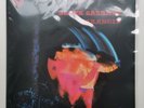 Black Sabbath - Paranoid [BMGRM054LP] NM/NM 180g Vinyl LP - Planet Caravan