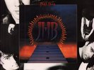 Jeff Healey Band Feel This LP vinyl Germany Arista 1992 74321120871