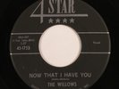Doo Wop R&B 45 WILLOWS Now That I Have You 4-STAR HEAR