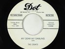 Doo-Wop 45 - Counts - My Dear My Darling - Dot VG++