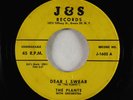 Doo-Wop 45 - Plants - Dear I Swear - J&S - 1st press