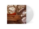 The Backseat Lovers Waiting To Spill LE Exclusive Clear Color Vinyl