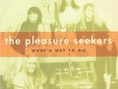 PLEASURE SEEKERS What a Way to Die 7