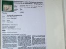 Rachmaninov SYMPHONY No. 2 CLASSIC RECORDS VICS 1139 Test Pressing MINT