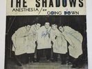 THE NATION ROCKING SHADOWS ANESTHESIA 45 +SIGNED PICTURE SLEEVE AUTOGRAPH Surf
