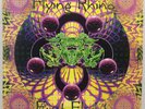 Various Flying Rhino First Flight (1996 Triple LP GOA TRANCE Psytrance) Used F1