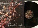 Children of Bodom - Blooddrunk LP 2022 Spinefarm Records – 3826363 [180G] EX *FN