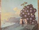 Moby Grape