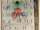 Garbage- Let All That We Imagine Be The Light 12” Clear Vinyl & Signed Card