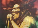 Bob Marley Kaya LP Album Vinyl Record Heavyweight Reissue Reggae compilation