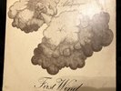 RICOTTI & ALBUQUERQUE - FIRST WIND  PEGASUS PEG 2 PROG PSYCHE WITH FULL AUDIO