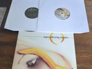 Thirteenth Step by A Perfect Circle (2xLP, Record, 2014) 180 Gram MOVLP1114
