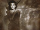 This Mortal Coil It'll End in Tears (Vinyl) 12