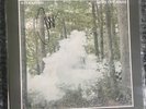 Move Our Souls - Avi Kaplan LP Green Smoke SIGNED & New