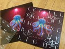 Garbage Let All That We Imagine Be The Light Pearl vinyl with signed insert