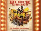 Wu-Tang Clan Black Samson, the Bastard Swordsman Vinyl LP