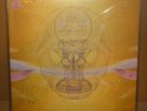 DEVENDRA BANHART What Will We Be 2LP WARNER BROS 2009 US orig+foc+180g 520962-1