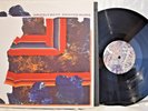 GRIZZLY BEAR - PAINTED RUINS HAND SIGNED RECORD VINYL AUTOGRAPHED DBL LP