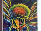 K7 Audio Cassette - Thunderdome XII MC2 (Caught In The Web Of Death)