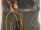 SHAKEY GRAVES – ROLL THE BONES (10TH ANNIV) - 180G BLACK & GOLD VINYL 2LP - 31