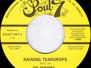 The Demures - Raining Teardrops / The Sly, Slick, And The Wicked, 7