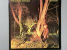 Echo and The Bunnymen Crocodiles Vinyl LP Kode1  A1/B1 UK 1st Press EX/EX