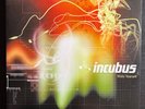 Incubus – Make Yourself LIMITED EDITION 365/2000 2015 EPIC 12