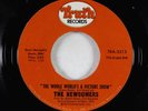 70s Soul 45 - Newcomers - The Whole World's A Picture Show - Truth VG+