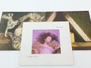 3 Kate Bush Lionheart Hounds of Love Never for Ever Records FLT10-BMR
