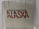 Between the Buried and Me Alaska Double LP Vinyl  Red