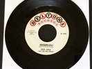 Dick Dale, Deltone Records,1963, Styrene 45, 