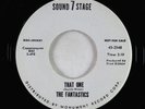 Northern Soul 45 - Fantastics - That One - Sound Stage 7 VG++