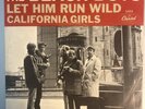 The Beach Boys -California Girls - Picture Sleeve & 45 Record 1965 Capitol #5464