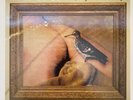 Cows - Sexy Pee Story Vinyl LP - Includes Poster   Amp Rep - Melvins - Nirvana