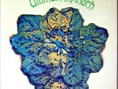 Ultimate Spinach: Ultimate Spinach ('68 IT Psychedelic Vinyl Reiusse) + bonus