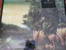 Fleetwood Mac Tango In The Night Vinyl LP Original Press Warner Bros