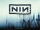 With Teeth [2 LP] by Nine Inch Nails [VINYL]