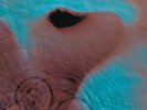 PINK FLOYD - Meddle (new edition) (2025) LP Vinyl