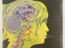 Keith Tippett Group- Dedicated To You But You Weren’t Listening Vertigo UK 12”