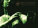 Arch Enemy Burning Bridges (Vinyl) 12