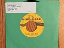 Little Willie Foster - Falling Rain Blues / Four Day Jump 45 Blue Lake 113